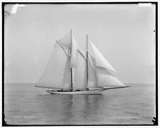 Shamrock schooner yacht for sale  USA
