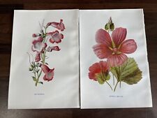Antique botanical book for sale  HARTLEPOOL