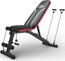 Used, FLYBIRD Adjustable Bench,Utility Weight Bench for Full Body Workout for sale  Shipping to South Africa