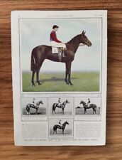 horse racing art for sale  BASINGSTOKE