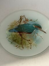Kingfisher frosted coloured for sale  NORTHAMPTON