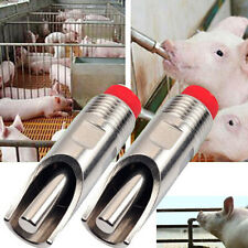Pig swine livestock for sale  New York