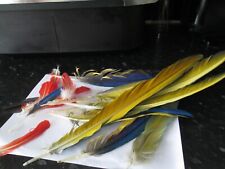 parrots macaws for sale  CHICHESTER