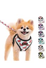 Cute dog harness for sale  BLAIRGOWRIE