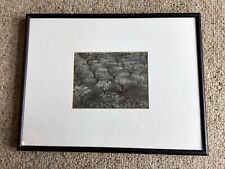 framed print ansel adams for sale  Stowe