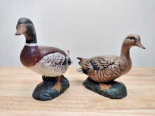 Two mallard ducks for sale  Silver City