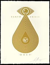 Shepard fairey earth usato  Italia