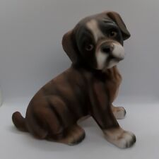 Boxer dog puppy for sale  HENLEY-IN-ARDEN