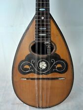 mandolino vinaccia usato  Vaiano Cremasco
