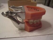 Columbia dentoform dental for sale  Irving