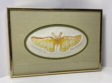 Gilbert yellow butterfly for sale  New Albany