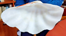 Conchiglia tridacna gigante usato  San Severino Marche