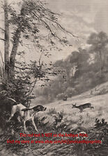 Ponteiro para cachorro inglês e veado em ponta dupla, grande impressão antiga da década de 1890 comprar usado  Enviando para Brazil