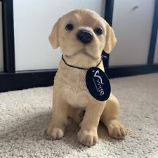 Labrador golden puppy for sale  Shipping to Ireland