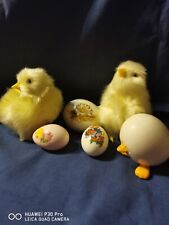 Fuzzy chicks porcelain for sale  Mammoth Spring