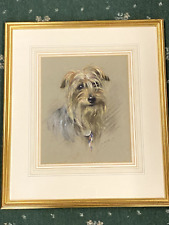 silky terrier for sale  WARRINGTON