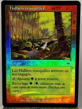 Magic mtg halliers d'occasion  Saint-André-les-Vergers