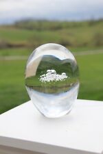 Paperweight crystal glass for sale  Flemingsburg