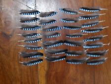 crow feathers for sale  Shipping to Ireland