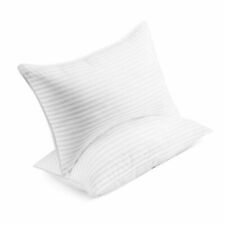 Travesseiro de Cama Beckham Luxury Linens Hotel Collection Branco - Tamanho Queen, Pacote com 2 comprar usado  Enviando para Brazil