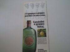 advertising Pubblicità 1975 GRAPPA CANDOLINI TOKAJ segunda mano  Embacar hacia Argentina