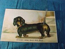 1911 dachshund dog for sale  Shipping to Ireland