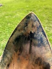 Gorgeous megalodon tooth for sale  Springfield