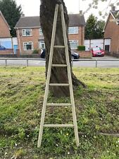 Apple picker ladder for sale  NUNEATON