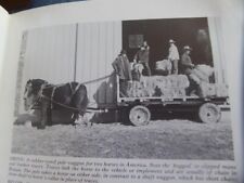 Farm horses carts for sale  ABERYSTWYTH