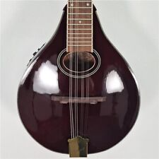 Ozark 2260wne mandolele for sale  BRIGHTON