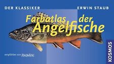 Farbatlas angelfische gebraucht kaufen  Berlin