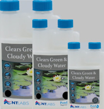 Labs pond clear for sale  KETTERING