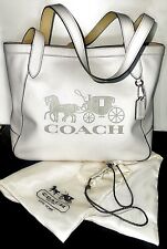 Coach horse carriage for sale  Lincoln