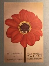 Varese esposizione floricoltur usato  Varano Borghi