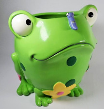 Frog big eyed for sale  Bush