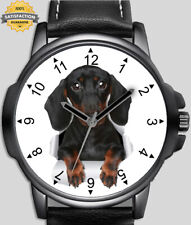 Love dachshund dog for sale  STOCKTON-ON-TEES