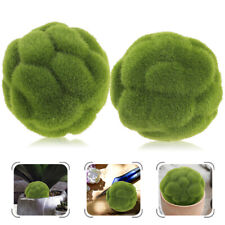Pcs moss balls for sale  Shipping to Ireland