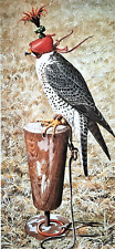 Lanner falcon perch. for sale  NELSON
