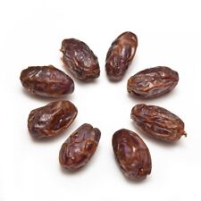 Seeds medjool date for sale  Chino Valley