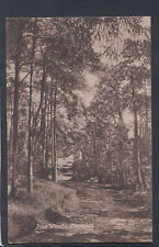 Somerset postcard pine for sale  WATERLOOVILLE