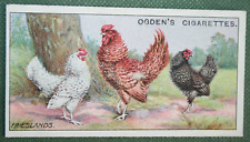 Friesland chickens poultry for sale  DERBY