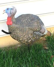 Avian lcd turkey for sale  Lititz