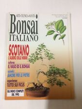 Bonsai italiano scotano usato  Macerata