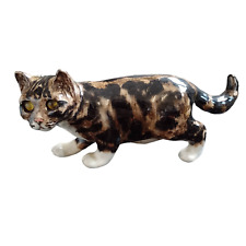 Winstanley cat size for sale  WELLINGBOROUGH