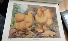 New book poultry for sale  KILWINNING