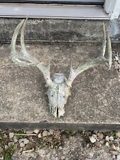 skull decor for sale  Masontown