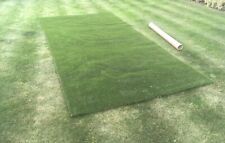 Astro turf cut for sale  DUDLEY
