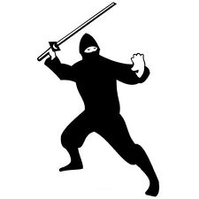 NINJA FIGHTER,SPORTS,BOYS, CAR DECAL STICKER for sale  Shipping to South Africa