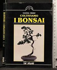 Coltiviamo bonsai tridi usato  Fonte Nuova