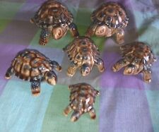 Set wade tortoises for sale  GOOLE